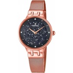 Festina F20387/3 Часовници