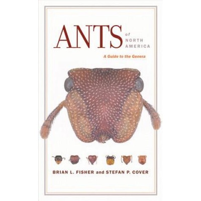 Ants of North America | Brian L. Fisher, Stefan P. Cover