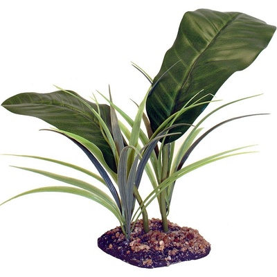 Komodo Evergreen Canopy 35 cm
