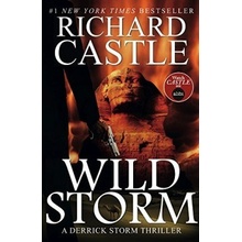 Wild Storm - A Derrick Storm Novel - Richard Castle