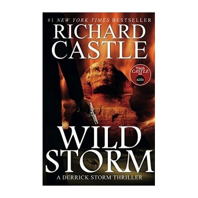 Wild Storm - A Derrick Storm Novel - Richard Castle