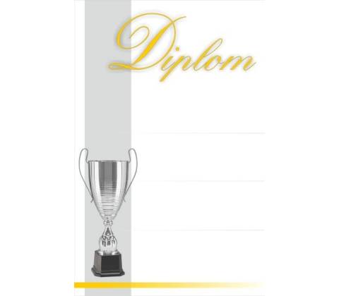 diplom 07