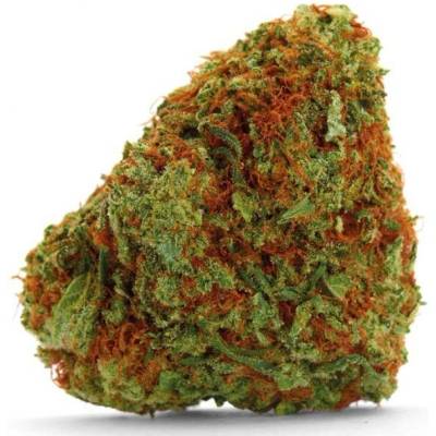 Growers Choice Bubblegum x Fat Hog semena neobsahují THC 5 ks
