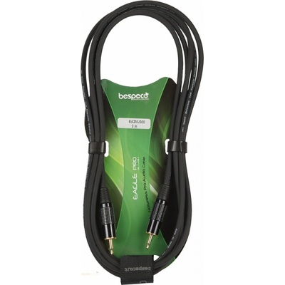 Bespeco EA2MJ300