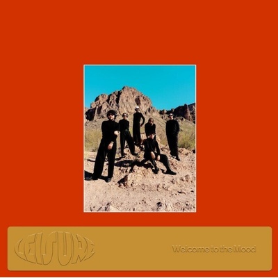 Leisure - Welcome To The Mood (Limited Edition) (Orange Coloured) (LP) (0067003177214)