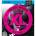 D'Addario EXL170BT