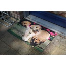 Esschert Design Best For Boots Štěňata světle hnědo-růžová 76 x 45,5 cm