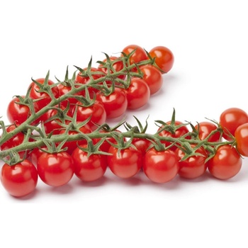 Paradajka Gourmelito F1 - Solanum lycopersicum - semená paradajky - 6 ks