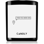 Candly & Co Candly & Co. I wish you were here ароматна свещ 250 гр