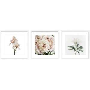 Styler Печатни картини в комплект 3 бр. с включена рамка 30x30 cm Posy - Styler (OB-14995)