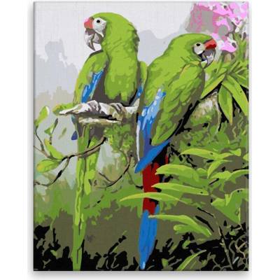Maľovanie podľa čísel Krásne papagáje