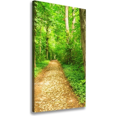 Vertikálny foto obraz na plátne Chodník v lese 50x100 cm