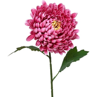 Kaemingk Pivoňka, 60 cm, růžová, KSD