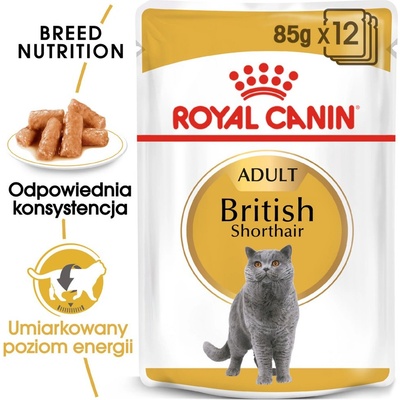 Royal Canin British Shorthair Adult пакет 12x85g (сос) мокра храна в сос за възрастни котки от породата британска късокосместа