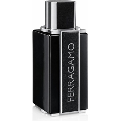 Ferragamo Sublime Leather parfumovaná voda pánska 100 ml
