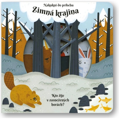 Zimná krajina
