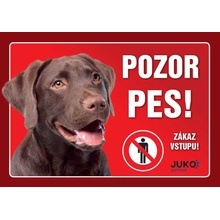 Juko Plastová tabuľa Pozor Pes Labrador hnedý 21 x 14,7 cm