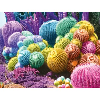 Nathan - Puzzle Cactus Rainbow - 2 000 piese