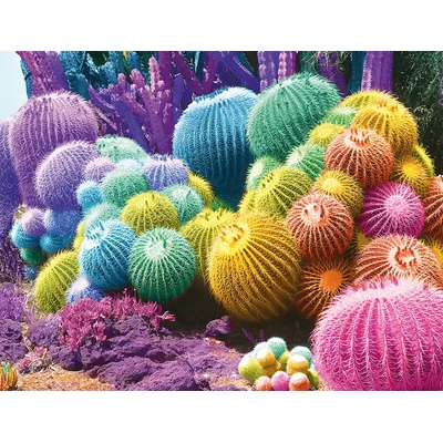 Nathan - Puzzle Cactus Rainbow - 2 000 piese