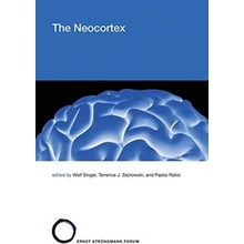 Neocortex