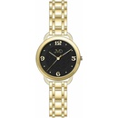 JVD J4201.2