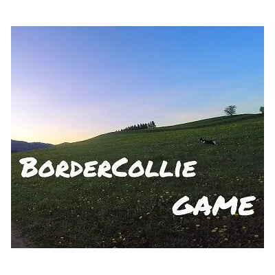 BorderCollie Game