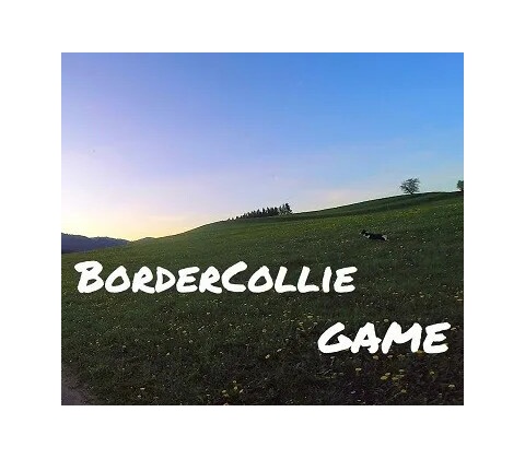 BorderCollie Game