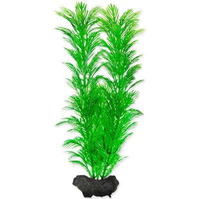 Tetra Green Cabomba M