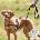 TRIXIE Training Harness Lead'n'Walk Soft Medium - Large - Регулируем тренировъчен повод/ колан за кучета, с неопренова подплата, 55-60 см. - черен