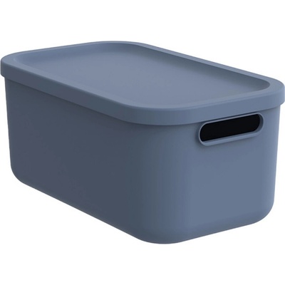 Rotho Úložný box rovný s vekom 12 l modrý 40 x 24 x 18