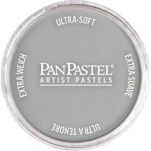 PanPastel Artists’ Сух пастел 921.5 Pewter 1 бр (<![CDATA[8029215-1]]>)