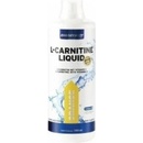 Spalovače tuků EnergyBody L-Carnitine Liquid 1000 ml