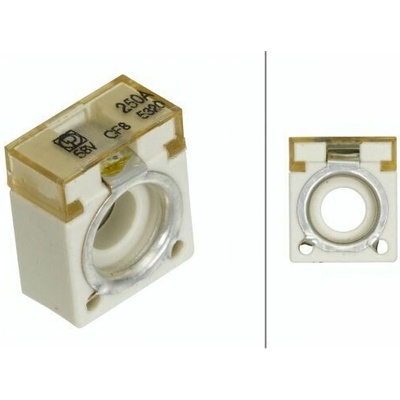Poistka HELLA 8JS 747 876-071