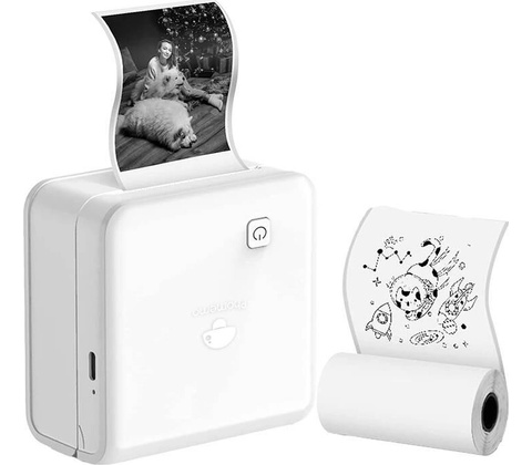 Phomemo M02Pro