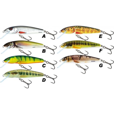 Salmo Minnow Floating holographic Bleak 7cm 6g