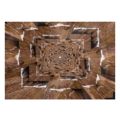 FT7697 Samolepiaca textilní fototapeta 3D ilúzia hnedá, rozmery 254cm x 184cm
