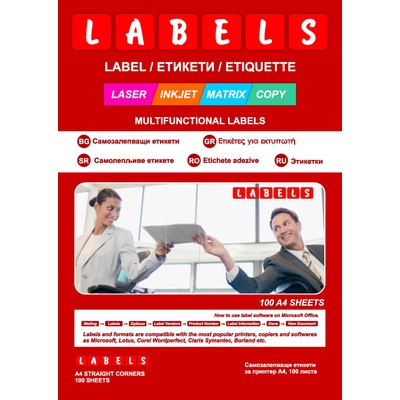 LABELS Самозалепващи етикети, прави 10.5/14.8см 4 етикета/лист оп. 100 Labels L3008