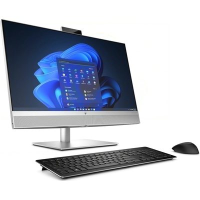 HP EliteOne 870 G9 99B13ET