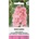 Seklos Делфиниум Гигант Розова кралица Giant Larkspur Rose queen