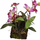 Lucky Reptile Jungle Plants Závesná orchidea purpurová 20x30 cm