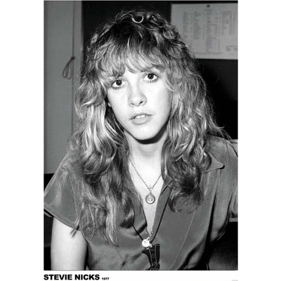 Plagát, Obraz - Steve Nicks, 59.4 × 84.1 cm