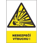 ČERVA EXPORT IMPORT a. s CERVA 12308 T. / Предпазен знак "ОПАСНОСТ ОТ ЕКСПЛОЗИЯ! " - 30x21 см (9903000199999)