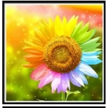 Image 1 of Слънчоглед 30/30см