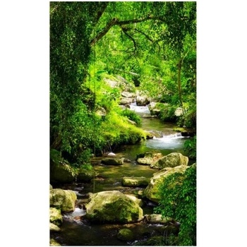 DIMEX ART s. r. o Флизелинов фототапет планински поток 150 x 250 см