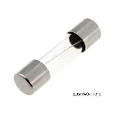 520.027 Skleněná trubičková pojistka Eska 5x20mm rychlá (F) 10 A/250V, s hasivem
