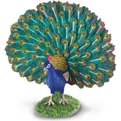 Collecta Páv