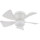 Globo 03609W