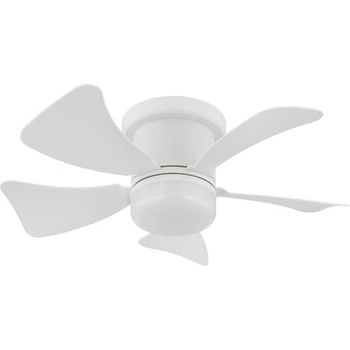 Globo 03609W