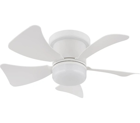 Globo 03609W