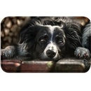 Ostatní pomůcky pro psy Zolux Podložka pro psy pod misku pejsci L